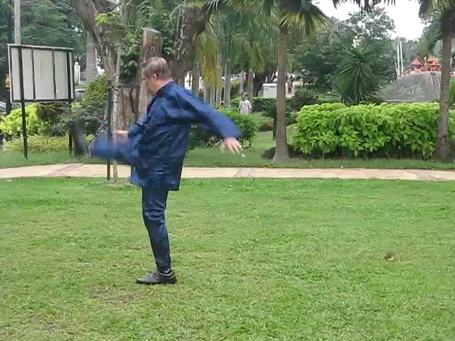 Shaolin 36 Leg Techniques